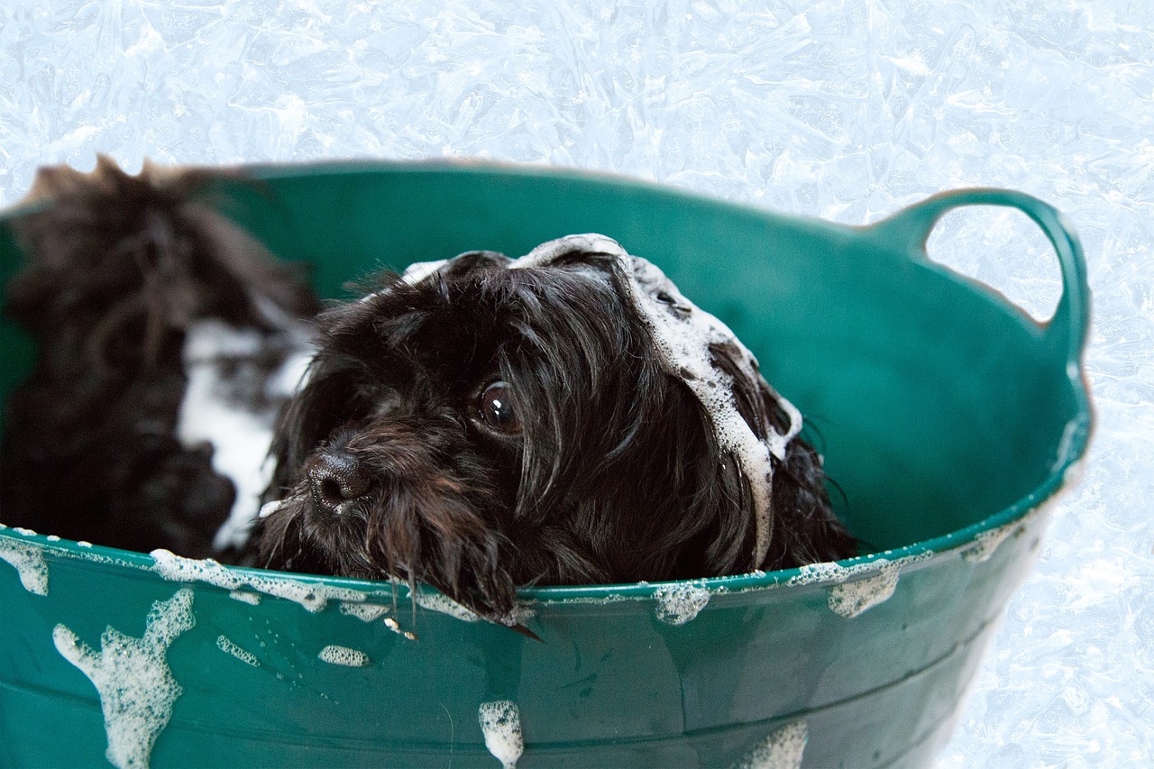 Bath and brush